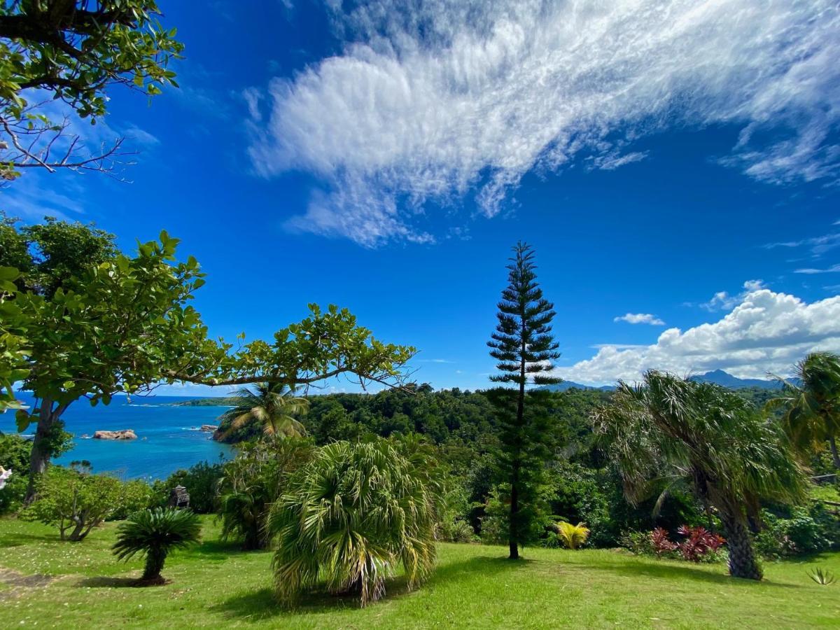 Sea Cliff Eco-Cottages & Gin Distillery Calibishie Extérieur photo
