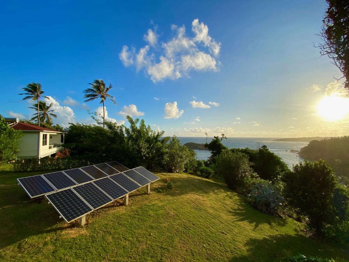 Sea Cliff Eco-Cottages & Gin Distillery Calibishie Extérieur photo