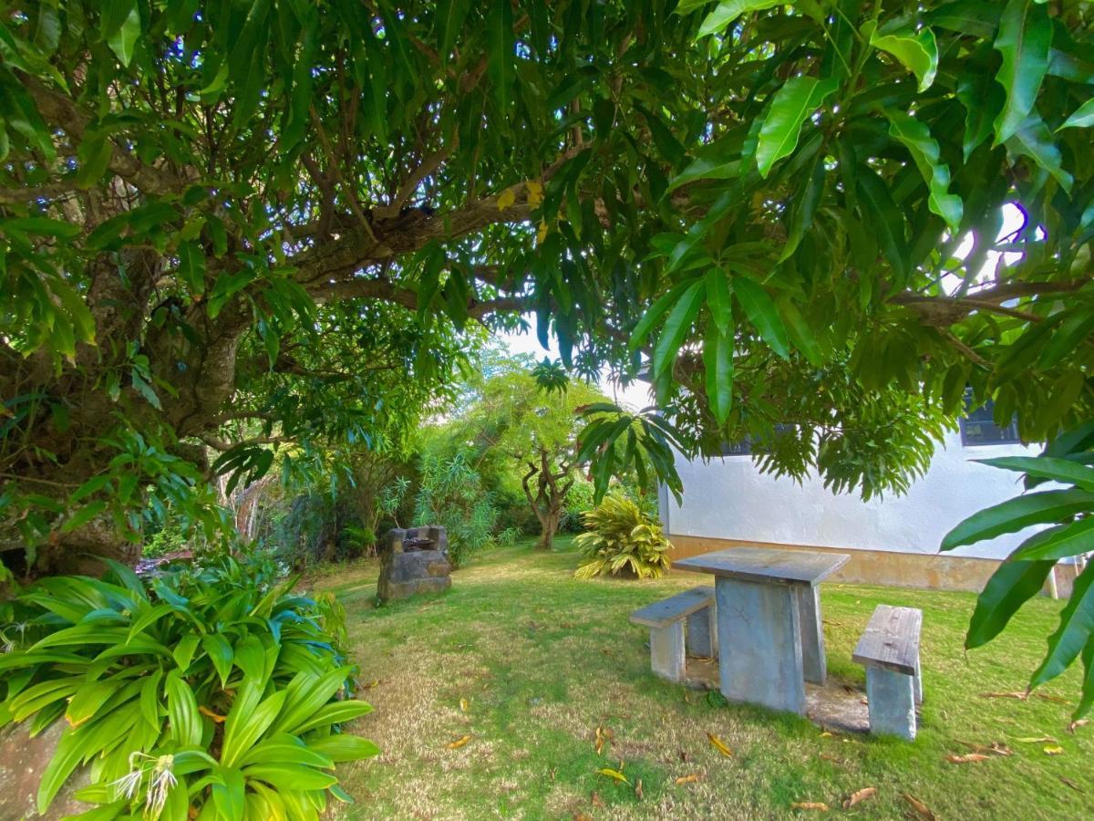 Sea Cliff Eco-Cottages & Gin Distillery Calibishie Extérieur photo
