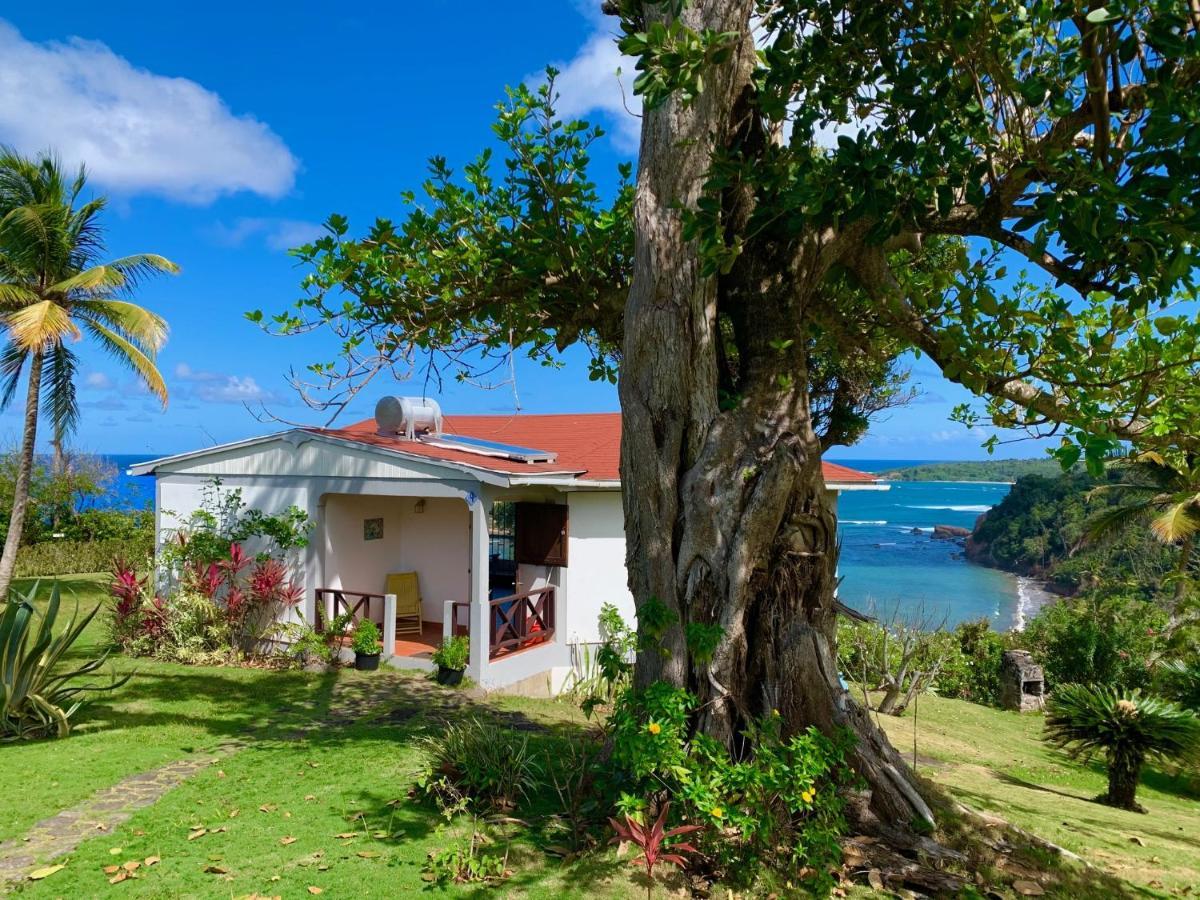 Sea Cliff Eco-Cottages & Gin Distillery Calibishie Extérieur photo