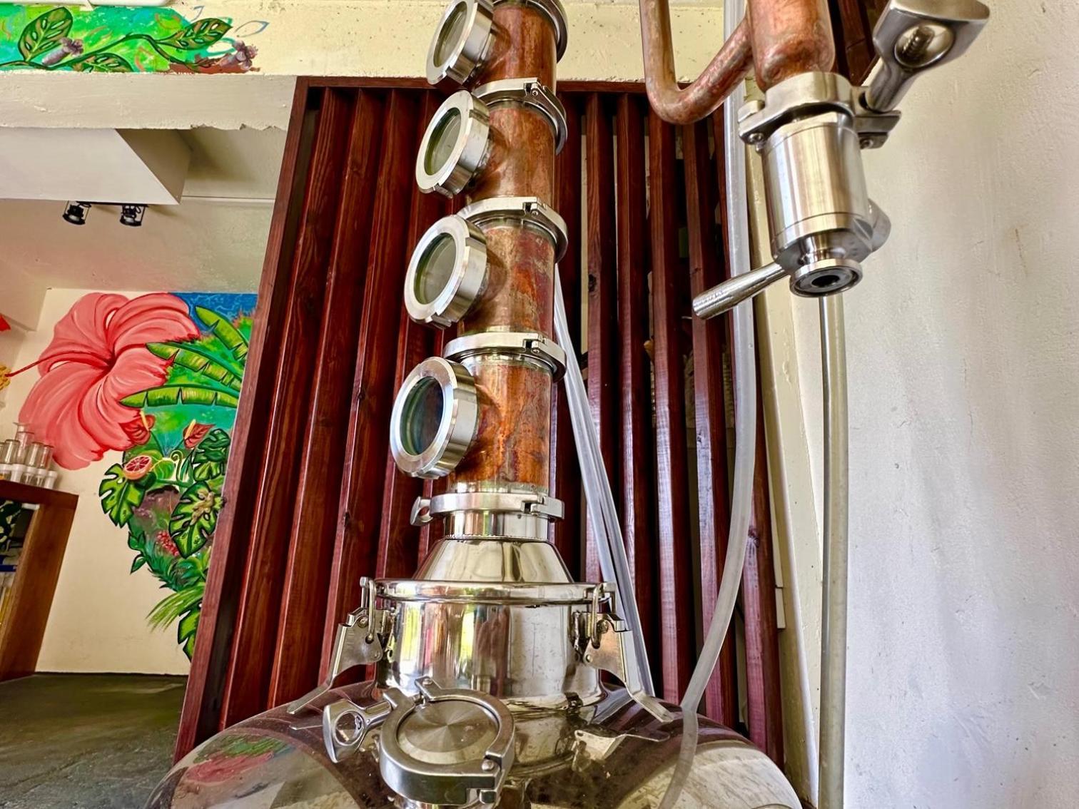 Sea Cliff Eco-Cottages & Gin Distillery Calibishie Extérieur photo